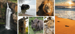 Kruger private safaris
